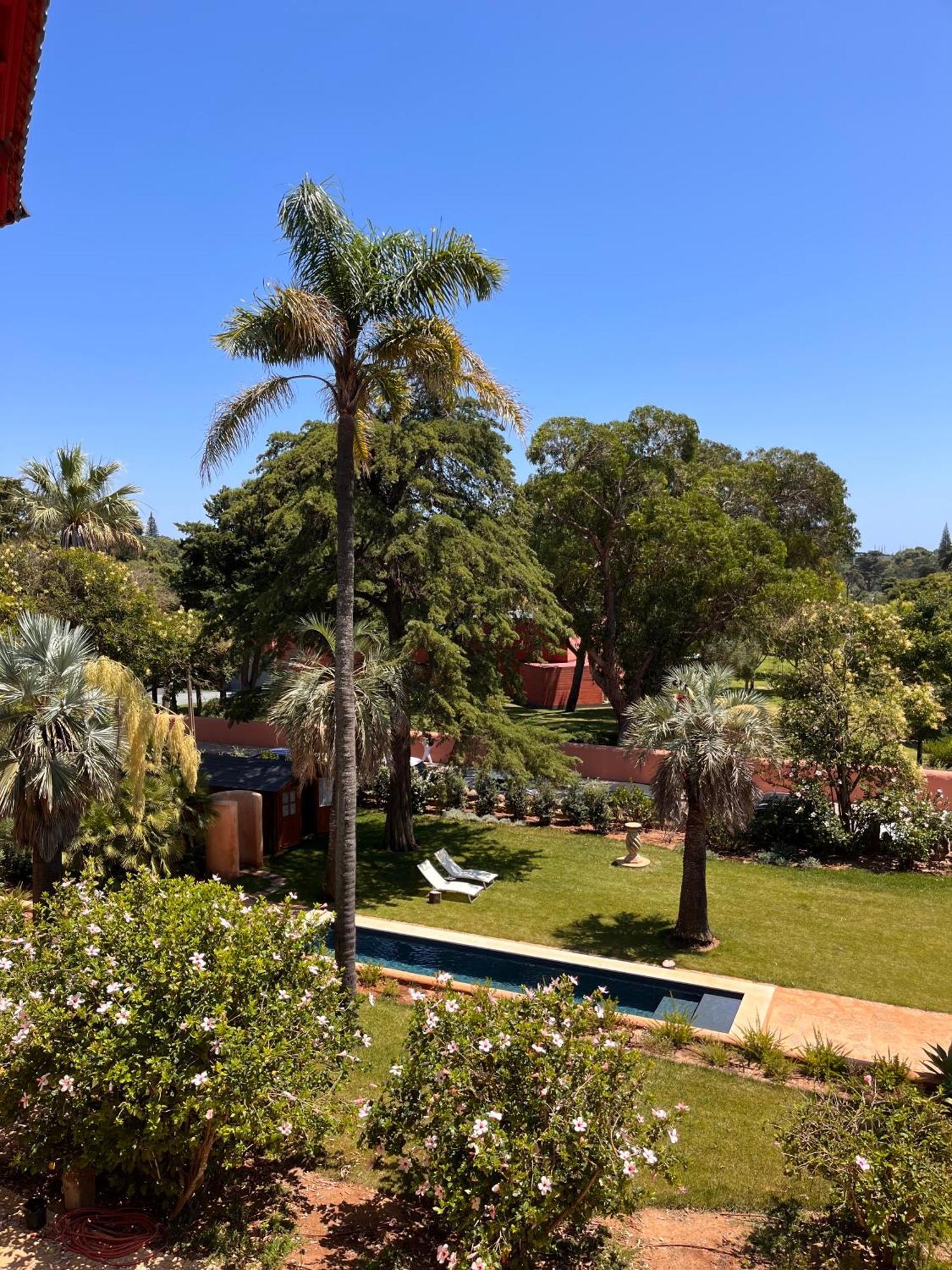 קסקאיס Chalet Ficalho מראה חיצוני תמונה